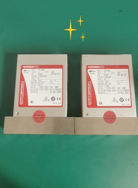 HORIBA CRITERION D519MG 流量计系列