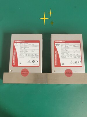 HORIBA CRITERION D519MG 流量计系列