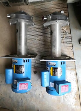 美国进口水泵两台，goulds品牌。不锈钢泵头，成色不错，需