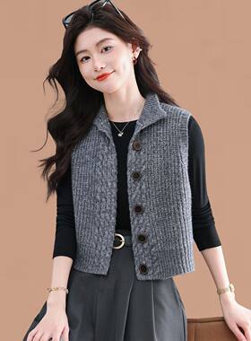 立领马甲背心女春秋新款外搭针织开衫叠穿上衣小个子无袖毛衣坎肩