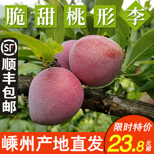 正宗浙江嵊州金庭桃形李子新鲜水果红心三华李大果5斤脆甜桃型李