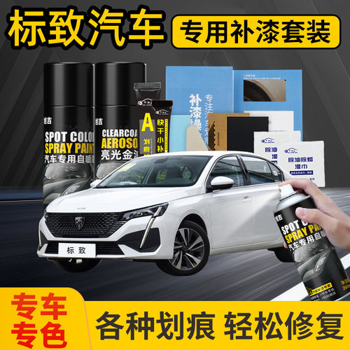 【4S店推荐】汽车专用喷漆套装