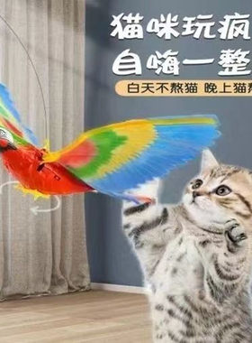 飞鸟电动飞鹰老鹰宠物玩具小鸟