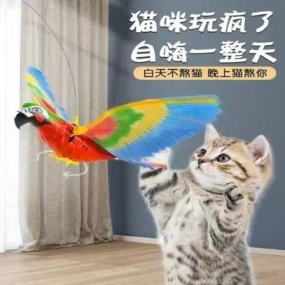 飞鸟电动飞鹰老鹰宠物玩具小鸟