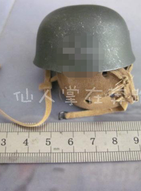 1 6兵人 威龙70205 DML 德 SS 伞兵 单徽盔 模型 现货 全新