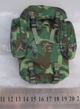 1 6兵人 DID 50002  抗震救灾 现代中国 WJ  PLA 大背包 现货