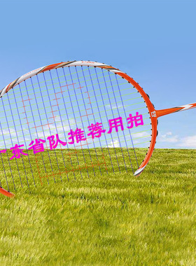 全新正品傲仕RS出口单打双打羽毛球拍 高端战拍1105 广东省队专用