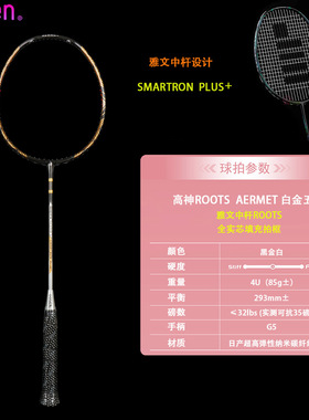 正品高神GOSEN白金五代羽毛球拍 实芯拍框+雅文中杆 一击制胜