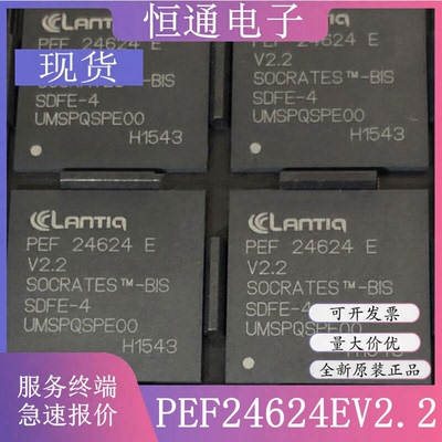 PEF24624EV2.2 PEF24624EV BGA324 微控制器IC芯片 全新原装 现货