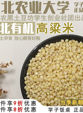 东北农业大学学子饭桌有机高粱米