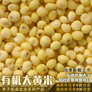 学子饭桌有机大黄米东北糯小米黏黄米农家新米粘粗粮五谷杂粮黍米