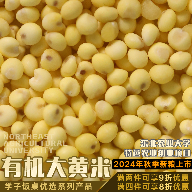 学子饭桌有机大黄米粘小米