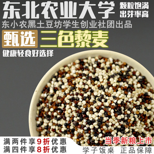 学子饭桌三色藜麦黑红白青海藜麦米五谷杂粮粗粮黎麦大米饭粥伴侣