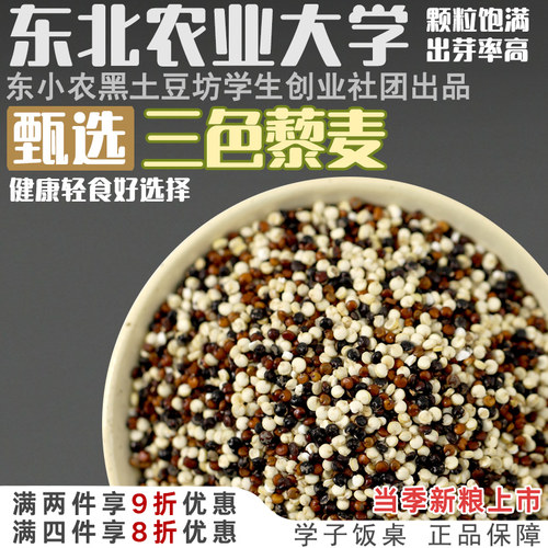 学子饭桌优质青海黑白红三色藜麦