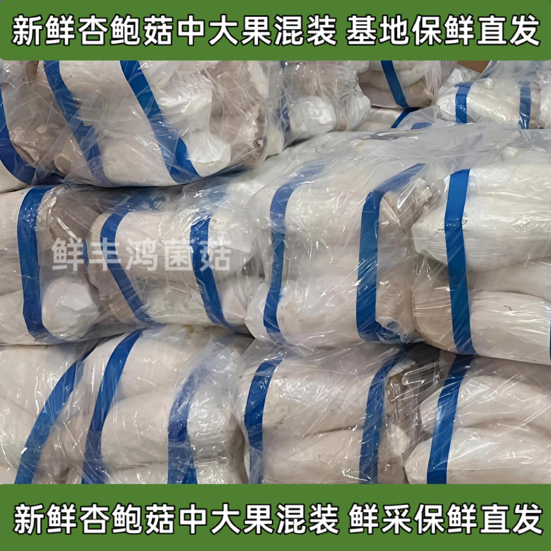 新鲜杏鲍菇大个头5斤装基地直发火锅食材新鲜杏鲍菇便宜蔬菜