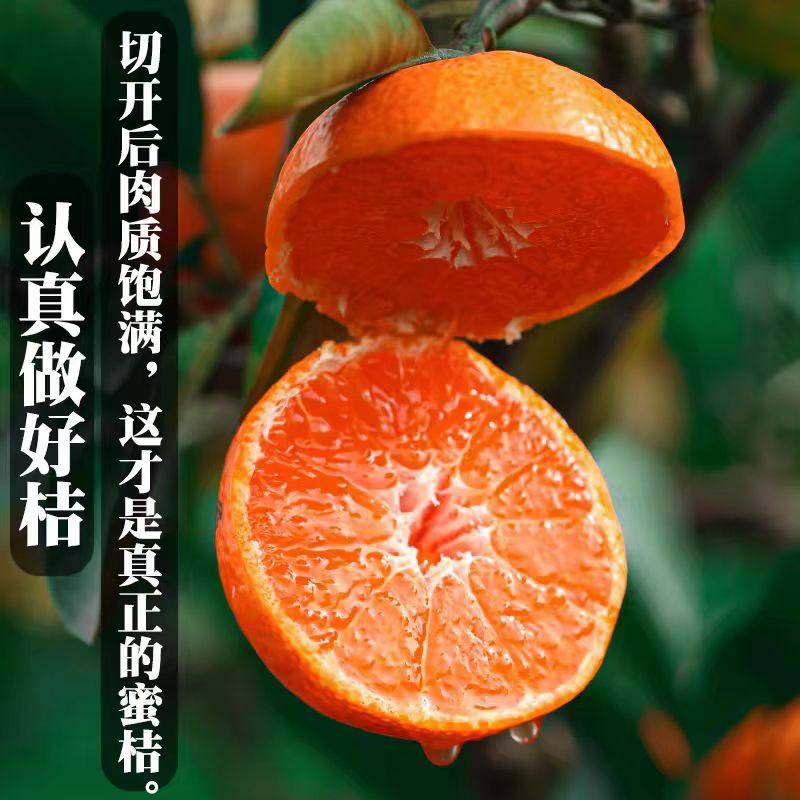 正宗高山涌泉蜜橘新鲜水果正宗无核无渣蜜橘新鲜当天采摘孕妇小孩,水产肉类/新鲜蔬果/熟食,桔子,淘宝优惠券,粉丝福利购,淘宝优惠卷