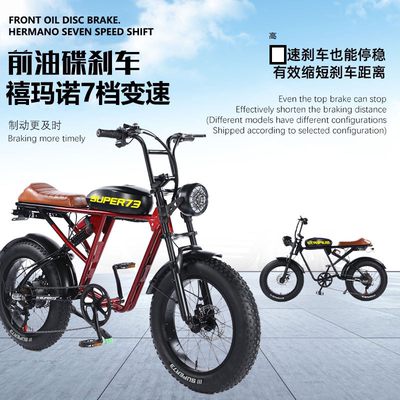 SUPER 73 RX粗轮胎雪地车明星同款胖胎越野车变速山地车