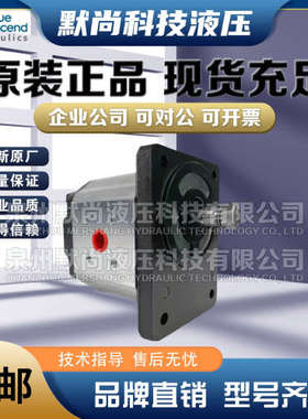 土耳其BLUE ASCEND齿轮泵AP10.032 AP10.038 AP10.043 AP10.050