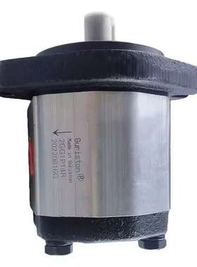 Guriston齿轮油泵2GG1P06R 2GG1P08R 2GG1P11R 2GG1P13R