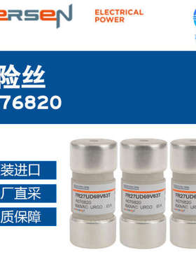 法国 MERSEN 美尔森 气缸保险丝 A076820 多型号