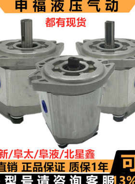 阜太电叉转向齿轮泵CBFTW-F 304 306 310 316 314 320 325 ALB
