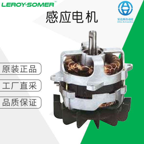 工厂直采 德国 LEROY SOMER 感应电机 多型号可询 D-D-P-D-PR