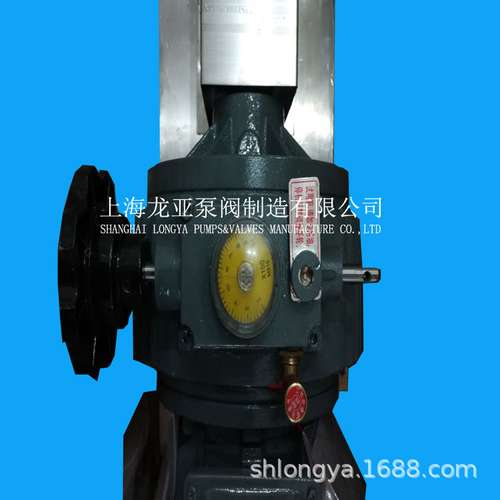 厂家RP3二叶转子泵 1.5千瓦两级耗能循环转子泵 价格优惠