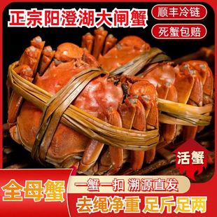 活蟹特大全公母阳澄湖大闸蟹8.0两鲜活螃蟹大闸蟹官方旗舰店礼盒