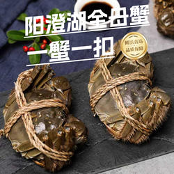 活蟹阳澄湖大闸蟹全母蟹3.5两新鲜特大鲜活螃蟹官方旗舰店礼盒装