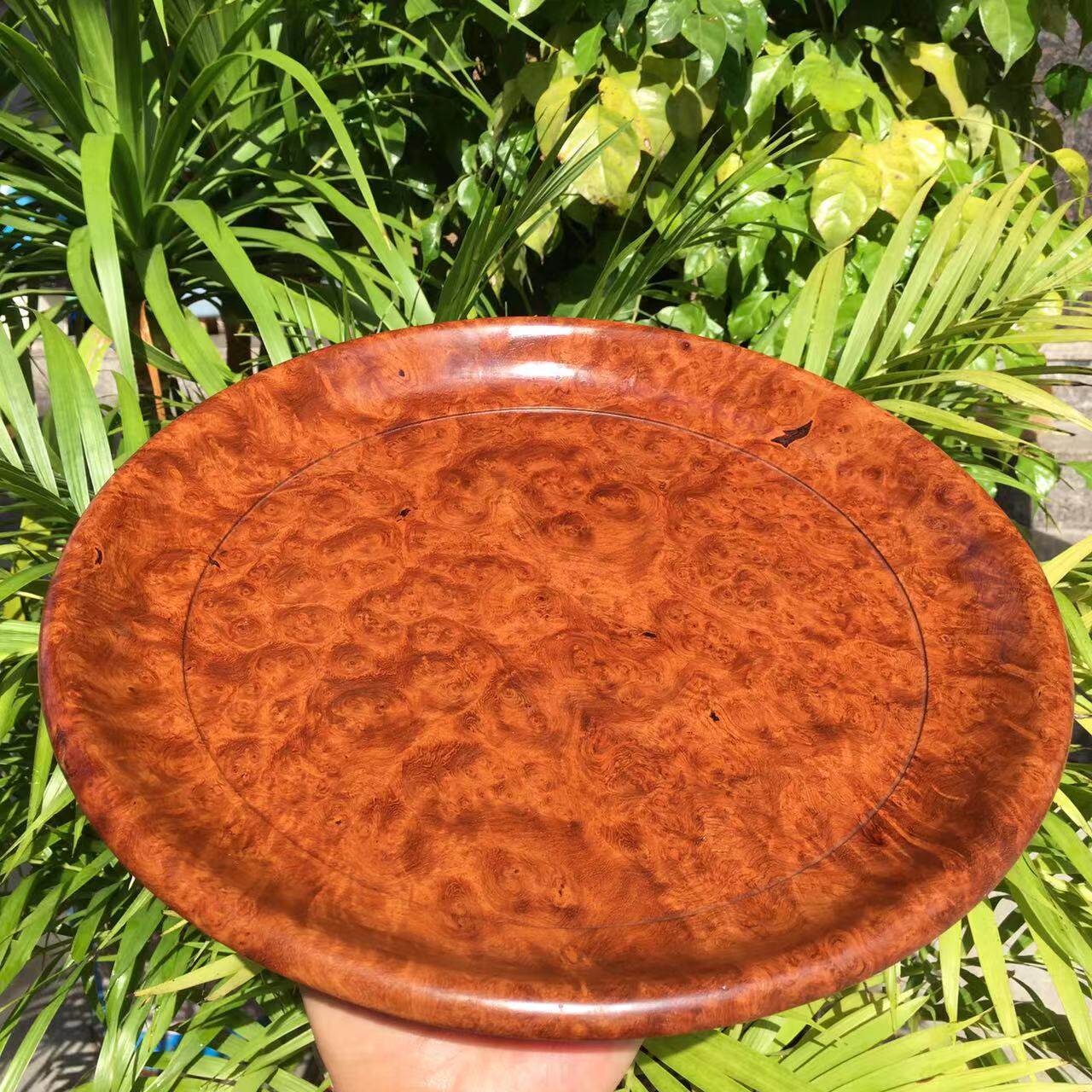 红木树瘤樱木果盘托盘茶盘缅甸花梨木大果紫檀整体实木根雕盘子