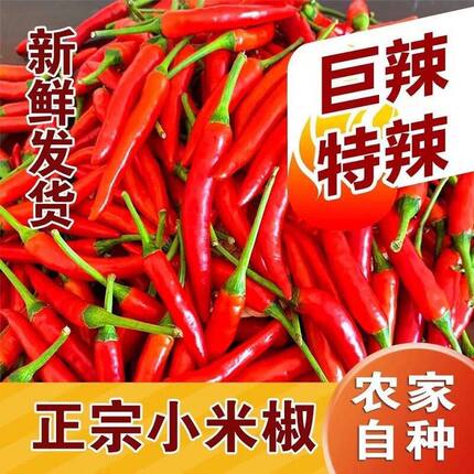 云南小米辣椒新鲜现摘现发特辣小米椒朝天椒超辣红辣椒指天椒尖椒