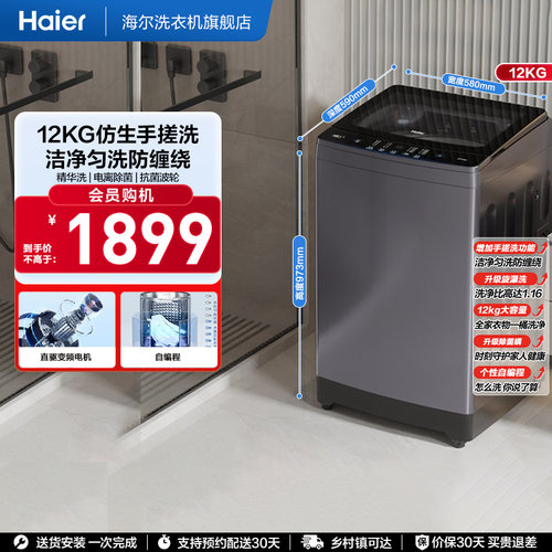 [手搓洗]海尔波轮洗衣机家用全自动变频12kg超大容量除菌629