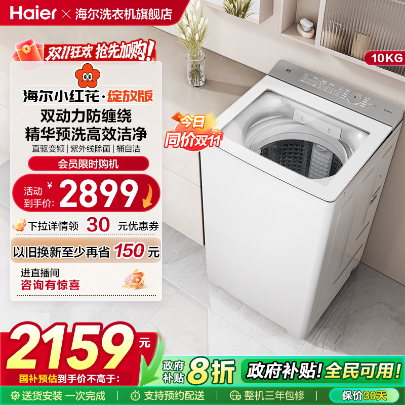 海尔小红花波轮双动力精华洗10kg大容量家用全自动洗衣机73M