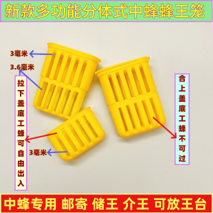 蜂王笼蜂具中蜂专用多功能王笼新款蜜蜂用具中蜂全套蜂王笼囚王笼
