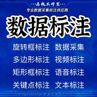 目标检测缺陷检测YOLO数据集制作深度学习语义分割3D标注数据处理