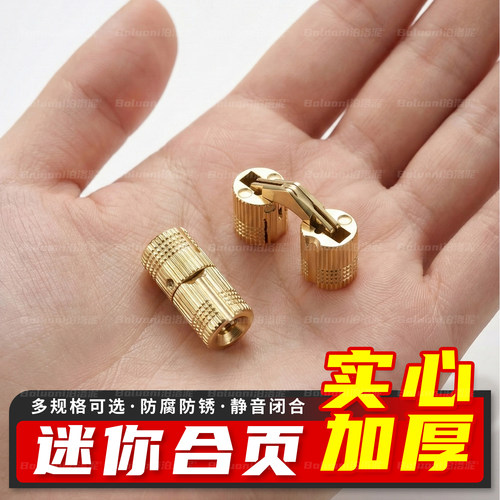 迷你合页暗藏式翻板无缝十字铰链圆柱型一字平开合页电表箱门铜铰