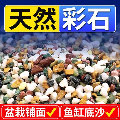 郁金香水培石子多肉铺面石鹅卵石铺底小石头养花专用雨花石五彩色