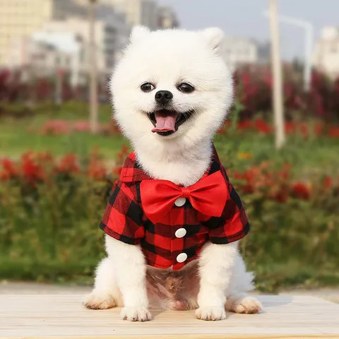 狗狗结婚衬衫宠物衣服比熊猫咪用品犬西装礼服小中大格子泰迪