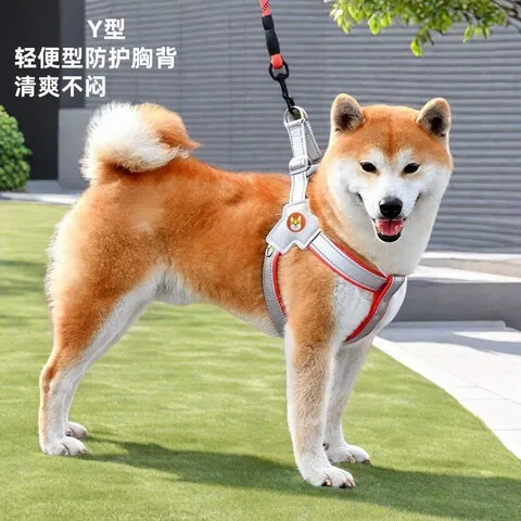 透气宠物马鞍式不勒牵引绳狗狗宠物狗绳牢固胸背带反光