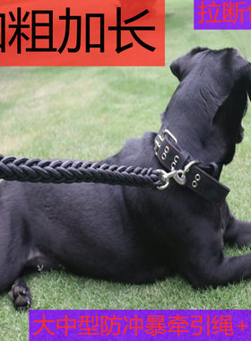 狗项圈牵引绳挂钩套装结实加长加粗金毛大中型犬遛狗绳子萨摩耶链