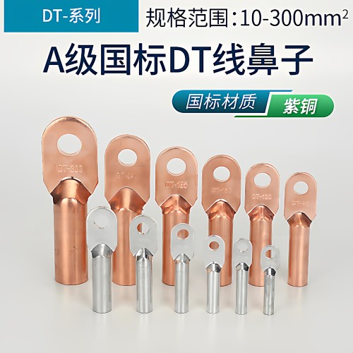 DT10国标接线端子铜鼻子接线端子