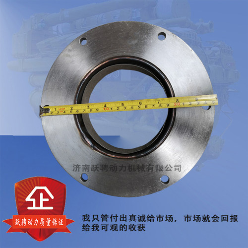 驰动g12v190zl1柴油机补偿器
