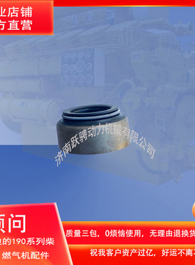 12v190系列柴油机400GF-T燃气机气门油封127.03.80.06阀杆密封