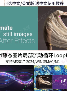 AE插件静态图片局部流动效果动画loopFlow插件1.3中文汉化WIN/mac