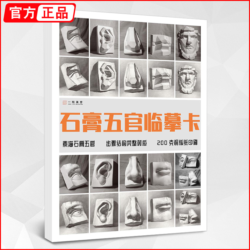 石膏五官临摹卡素描结构对照
