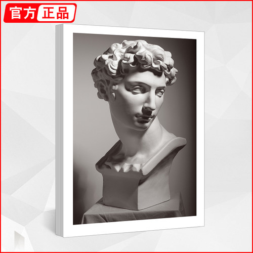 照片对应石膏五官素描临摹卡 一线教学2024头像肖像卡片高清精微创意画单体结构图国美初级画册本基础书入门图片教材美术静物练习
