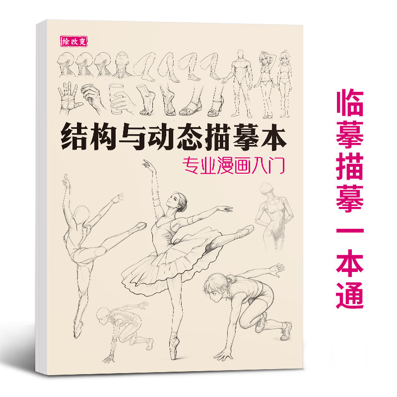 结构与动态描摹本漫画入门 人物学人体练习册动漫教学线稿卡通画零基础教程儿童自学二次元临摹技法素描日本q版教材书画册速写手绘