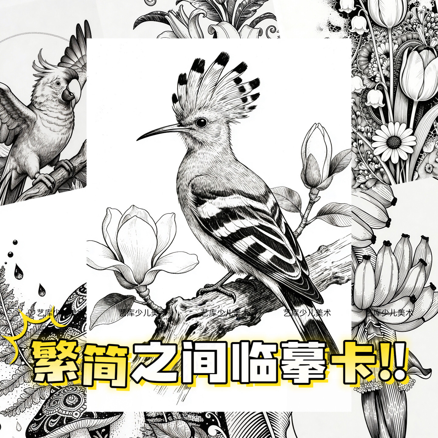 繁简之间线描临摹卡30张黑白儿童范画动物植物花卉卡片少儿美术A5