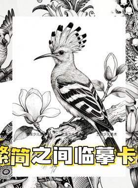 繁简之间线描临摹卡30张黑白儿童范画动物植物花卉卡片少儿美术A5