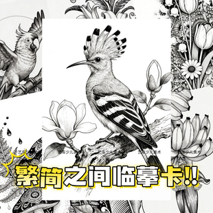 繁简之间线描临摹卡30张黑白儿童范画动物植物花卉卡片少儿美术A5